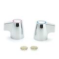 Moen Handle Kit - 113973